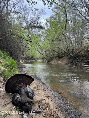 $1,750,000 | 1711 Highway 82, Eupora, MS 39744