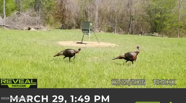 $1,750,000 | 1711 Highway 82, Eupora, MS 39744