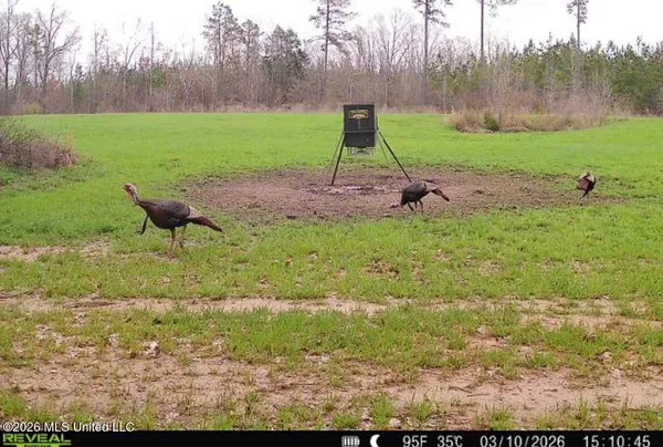 $1,750,000 | 1711 Highway 82, Eupora, MS 39744