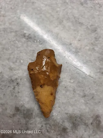 $1,750,000 | 1711 Highway 82, Eupora, MS 39744