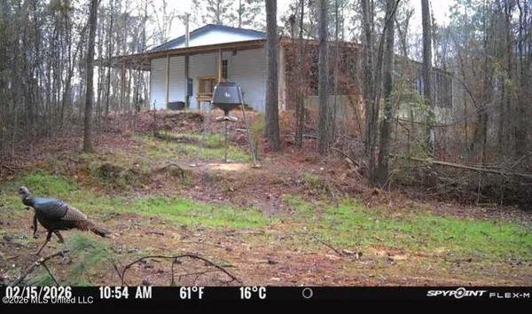 $1,750,000 | 1711 Highway 82, Eupora, MS 39744