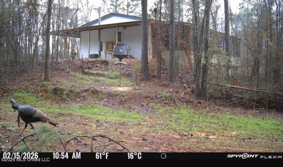 1711 Highway 82 Eupora, MS 39744 - Photo 74 of 76 IMG_2173