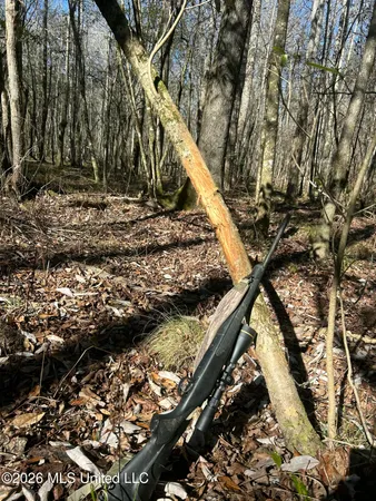 $1,750,000 | 1711 Highway 82, Eupora, MS 39744