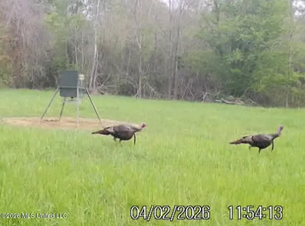 $1,750,000 | 1711 Highway 82, Eupora, MS 39744