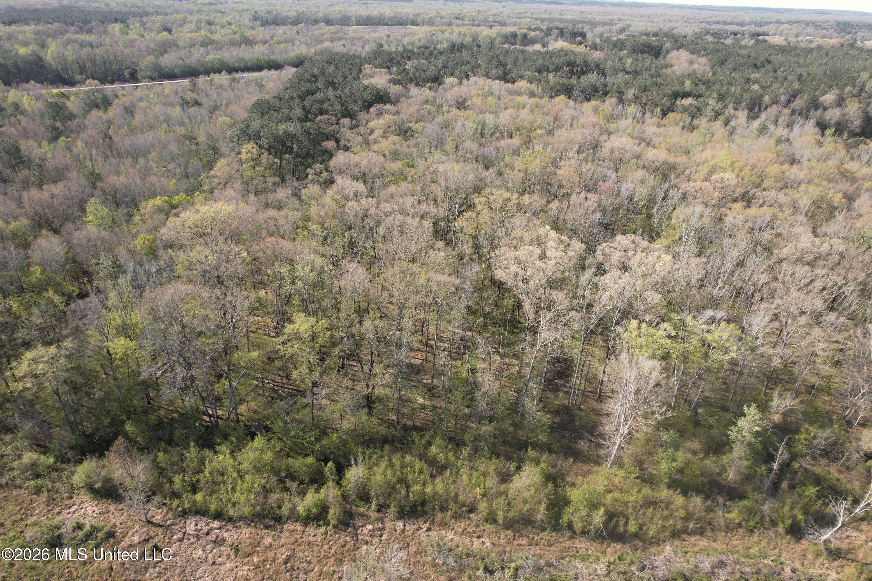 1711 Highway 82 Eupora, MS 39744 - Photo 10 of 76 DJI_0199