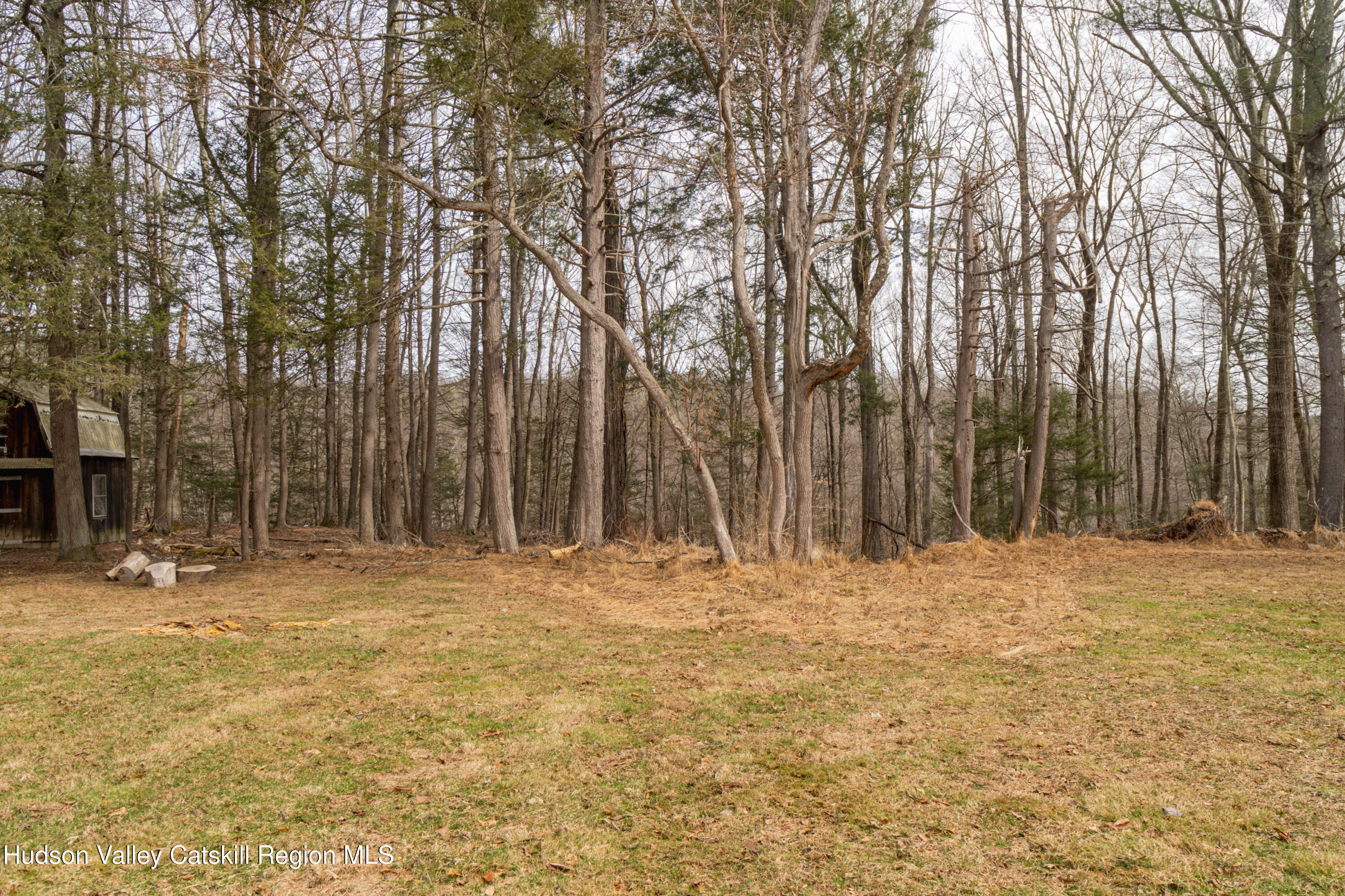 713 Oak Ridge Road Ellenville, NY 12428 - Photo 40 of 53 a big yard with large trees