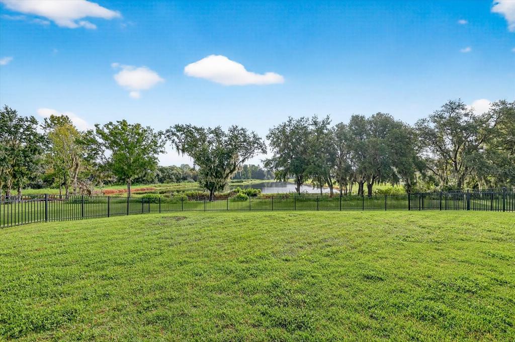 13008 Paddock Wood Place Riverview, FL 33579 - Photo 49 of 86