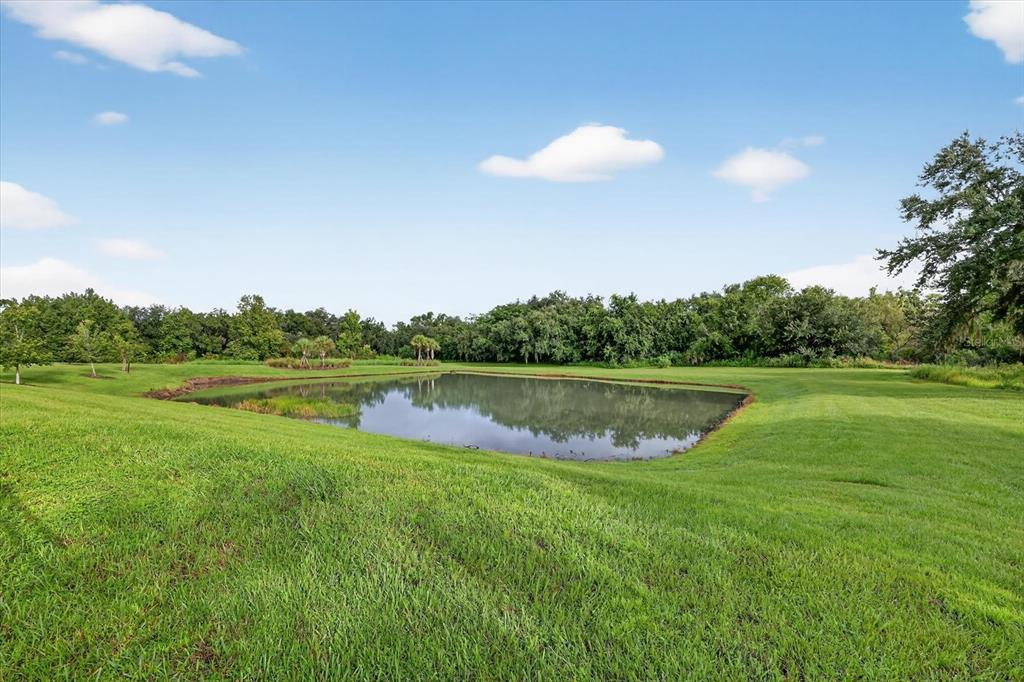 13008 Paddock Wood Place Riverview, FL 33579 - Photo 52 of 86