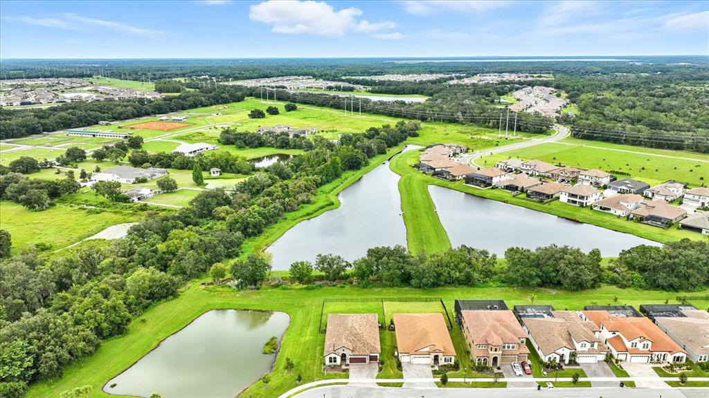 13008 Paddock Wood Place Riverview, FL 33579 - Photo 69 of 86