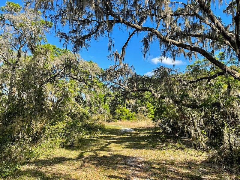 13008 Paddock Wood Place Riverview, FL 33579 - Photo 85 of 86