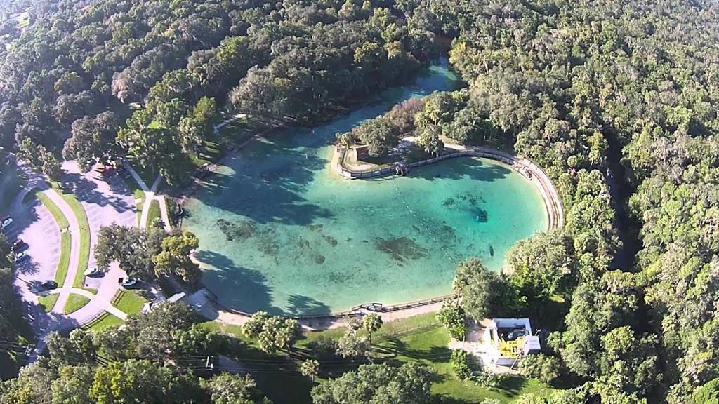 13008 Paddock Wood Place Riverview, FL 33579 - Photo 86 of 86