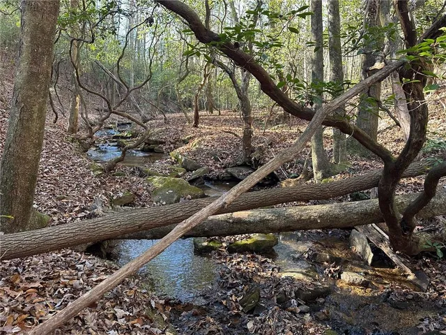 a view of a tree with a yard