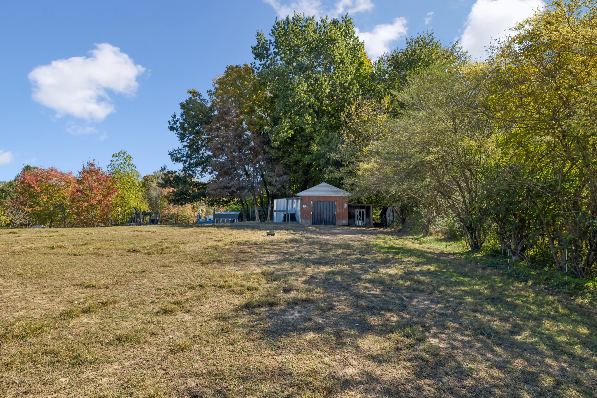 240 Hester Road Portland, TN 37148 - Photo 39 of 51 a big yard with lots of green space