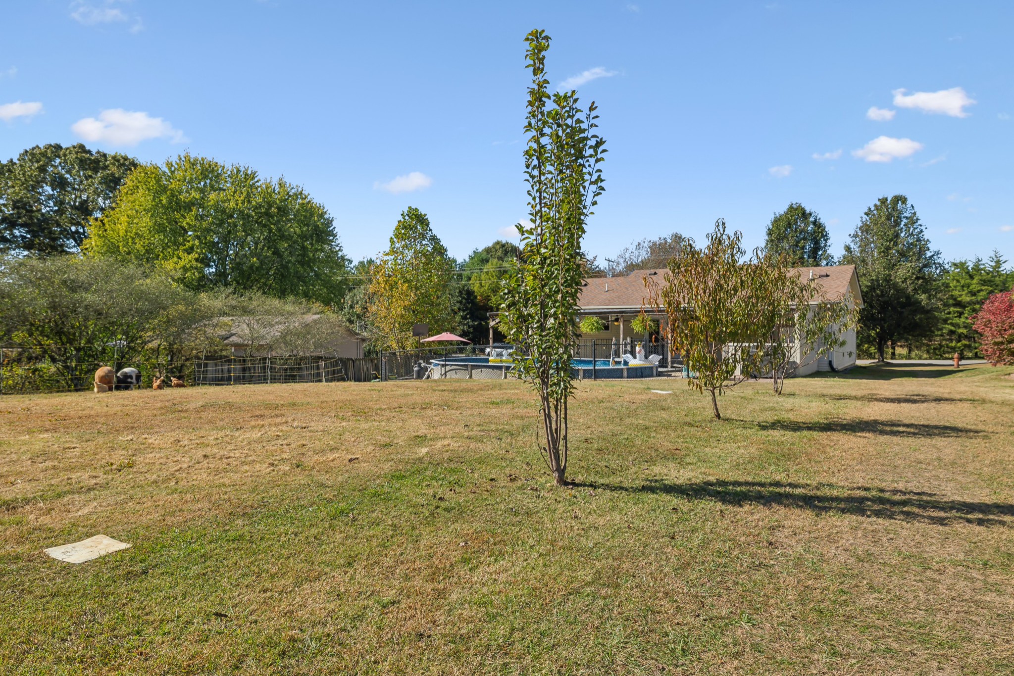 240 Hester Road Portland, TN 37148 - Photo 44 of 51 a view of a yard with a house
