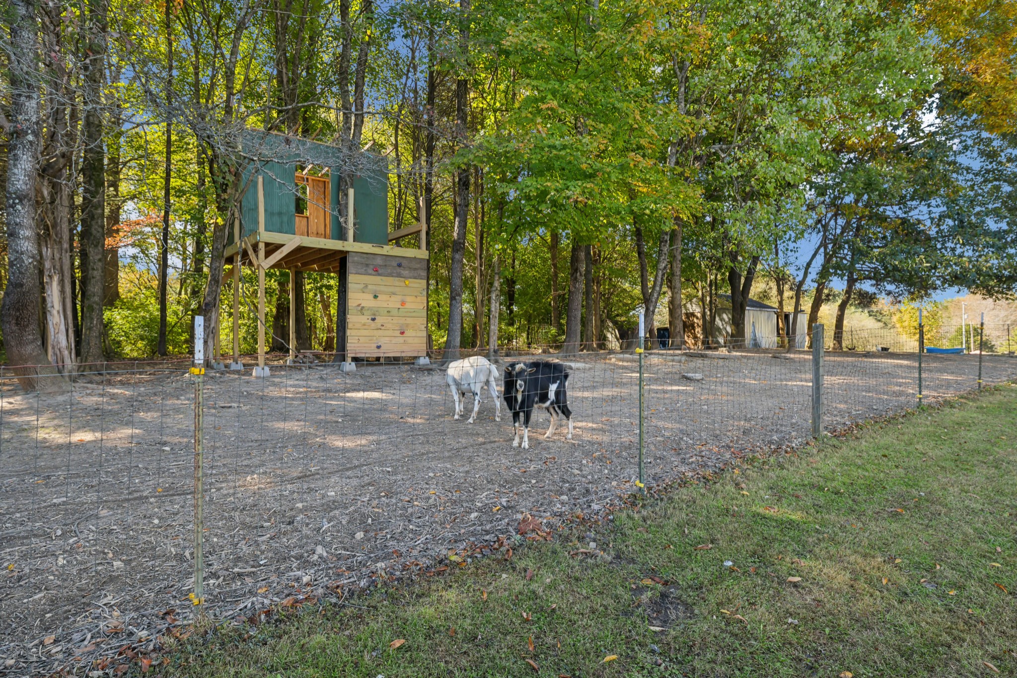 240 Hester Road Portland, TN 37148 - Photo 47 of 51 a view of a backyard with table and chairs and a large tree