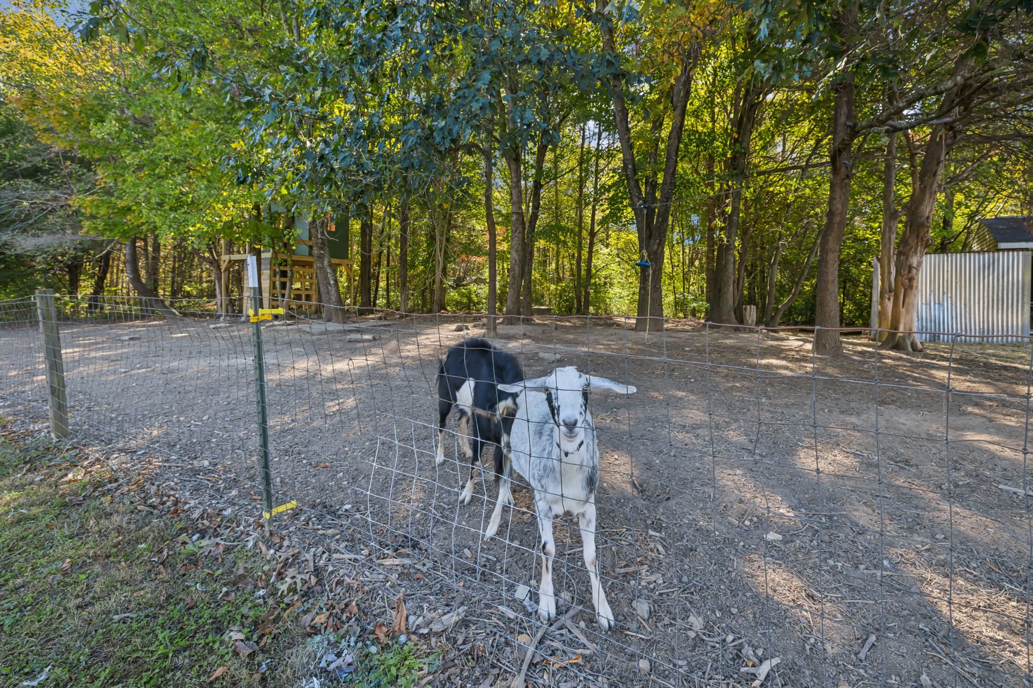 240 Hester Road Portland, TN 37148 - Photo 48 of 51