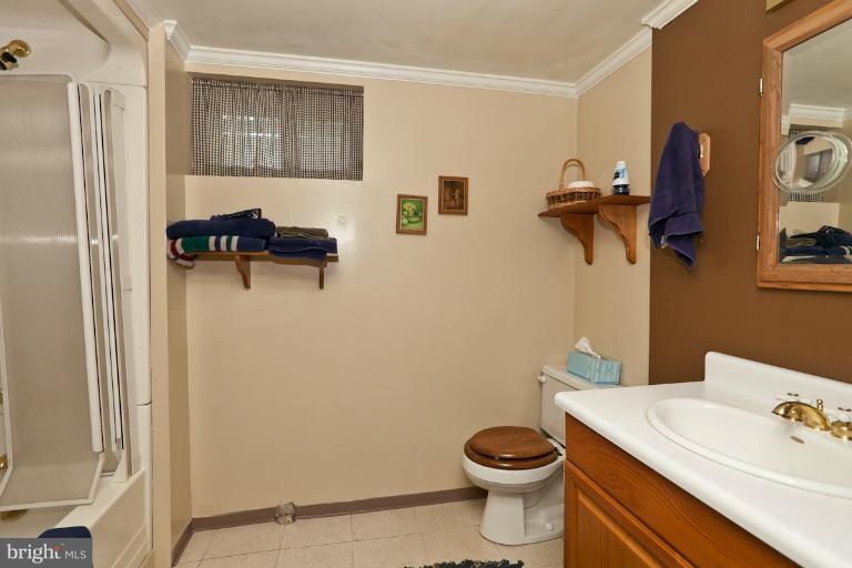 3613 Isbell Street Silver Spring, MD 20906 - Photo 4 of 28 Full Lower-level Bath