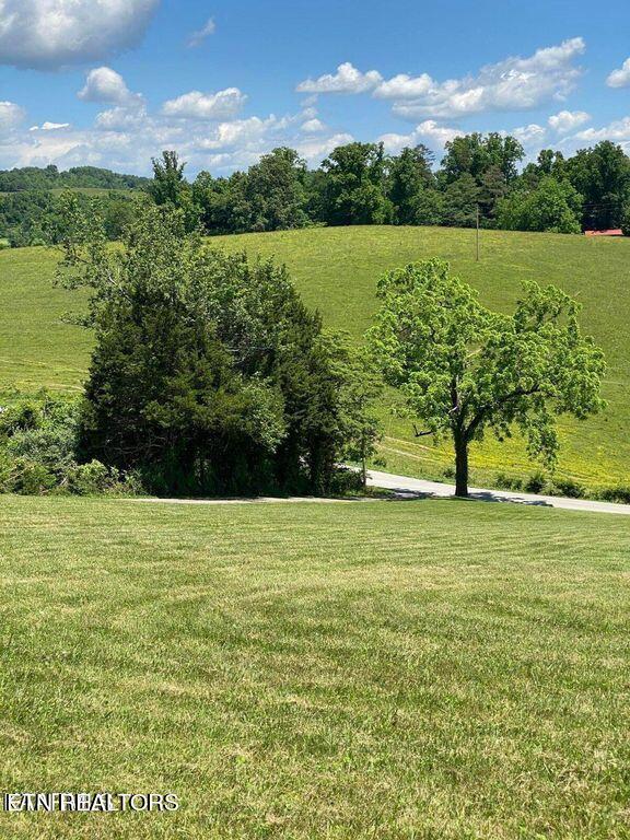 Lot 7 Chapman Road La Follette, TN 37766 - Photo 2 of 4 lot8