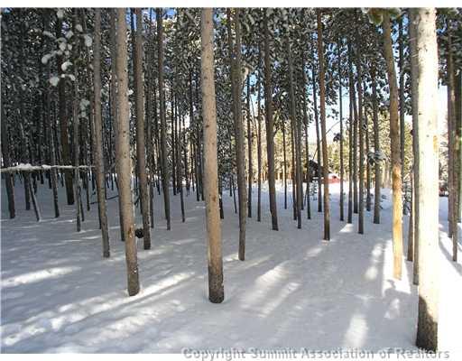 474 4 O'Clock Run Road Breckenridge, CO 80424 - Photo 4 of 10