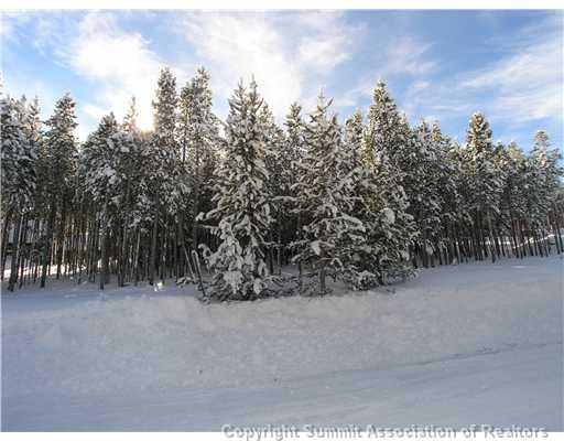 474 4 O'Clock Run Road Breckenridge, CO 80424 - Photo 6 of 10
