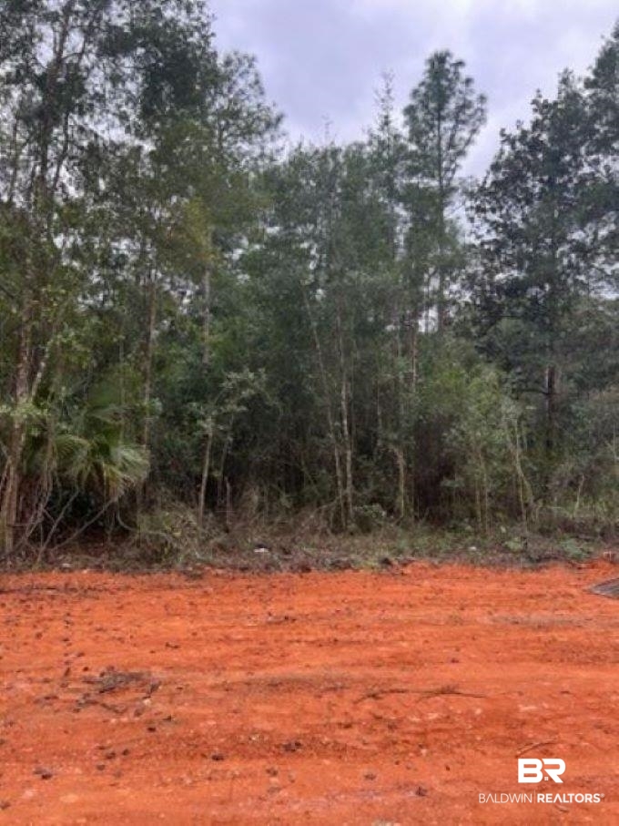21917 Sedlack Road Silverhill, AL 36576 - Photo 24 of 27