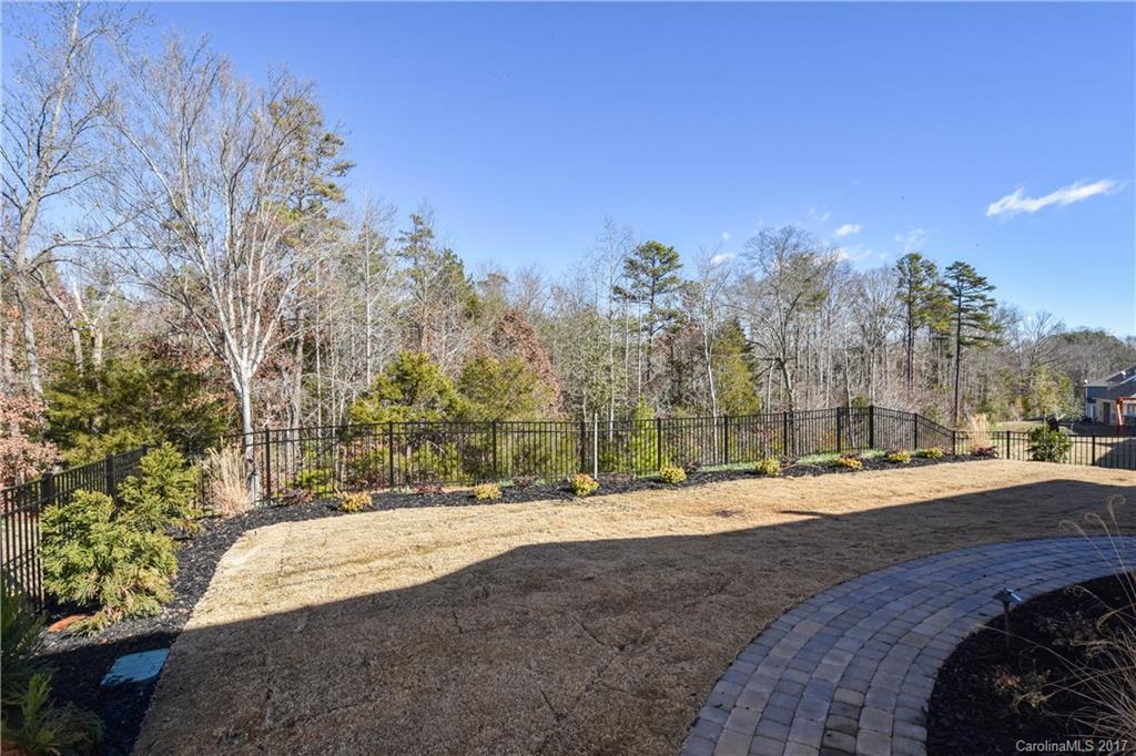 856 Coralbell Way Tega Cay, SC 29708 - Photo 14 of 16 Gallery Image 14