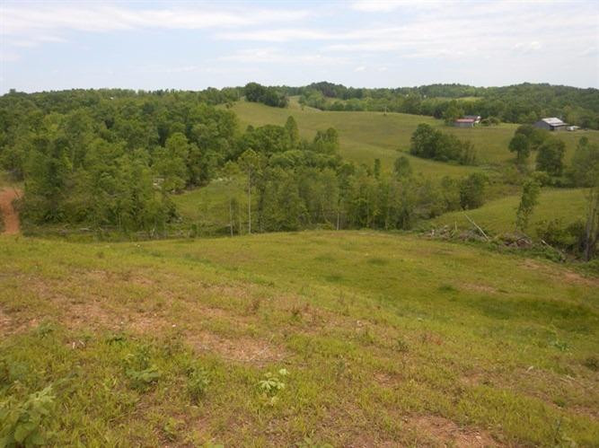 563 Keeton Lake Road Wellington, KY 40387 - Photo 13 of 76 Photo 13