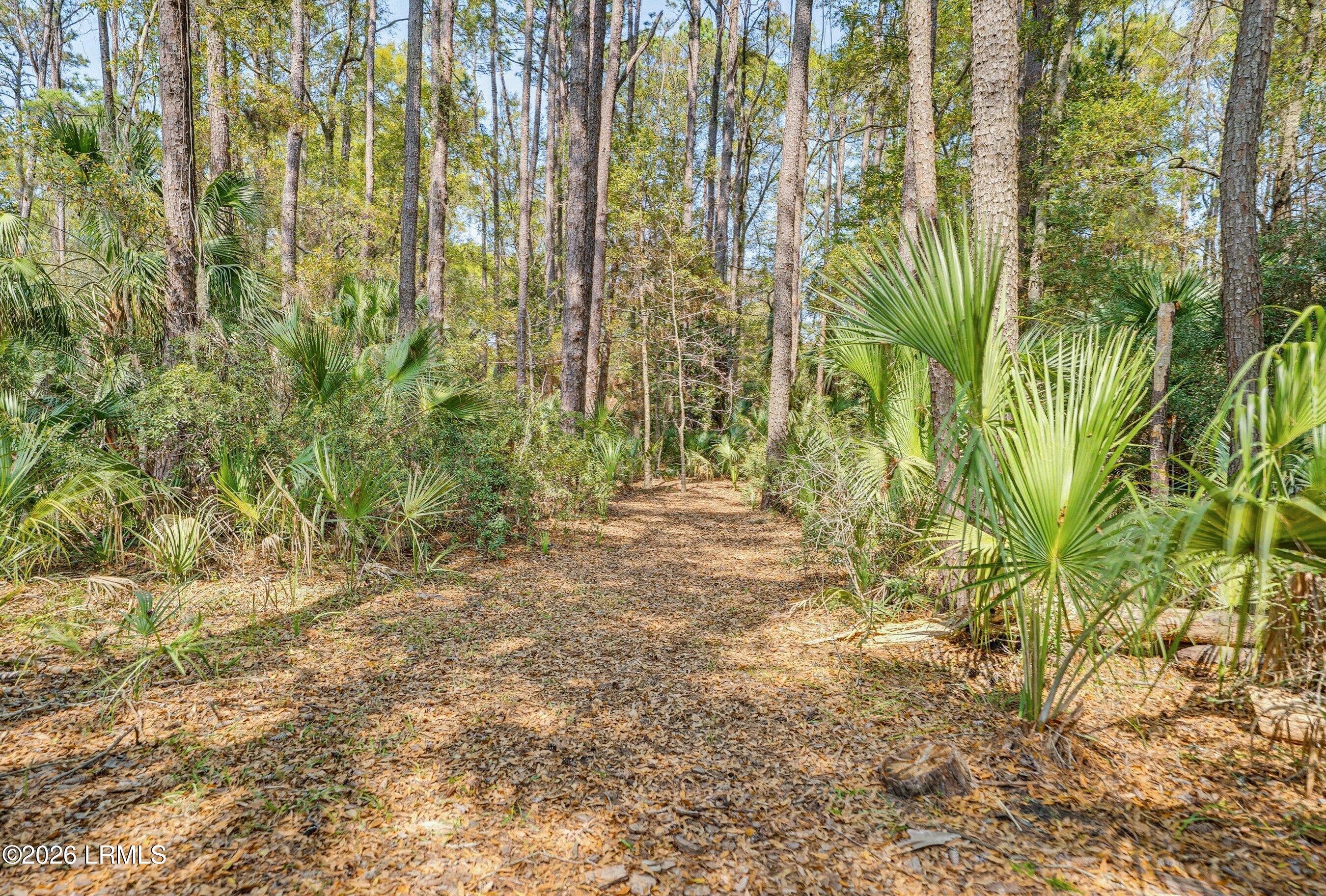 50 Long Point Drive Beaufort, SC 29907 - Photo 67 of 85 Walking Trail