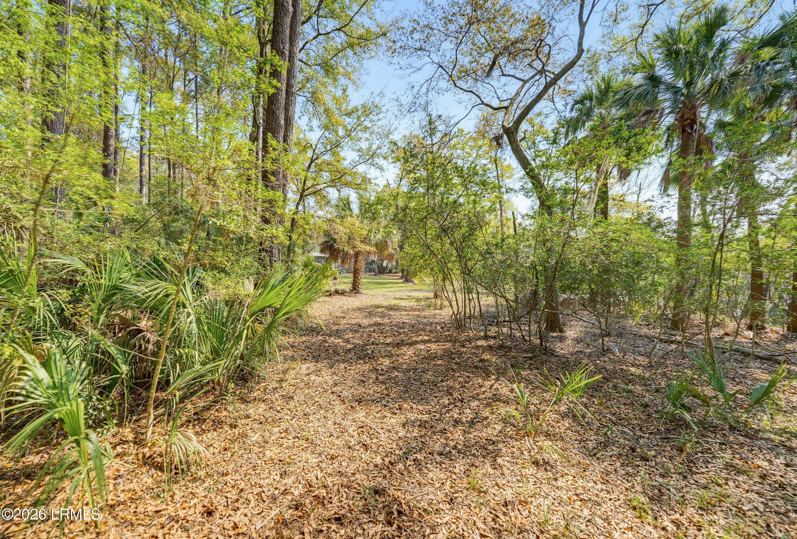 50 Long Point Drive Beaufort, SC 29907 - Photo 68 of 85 Walking Trail
