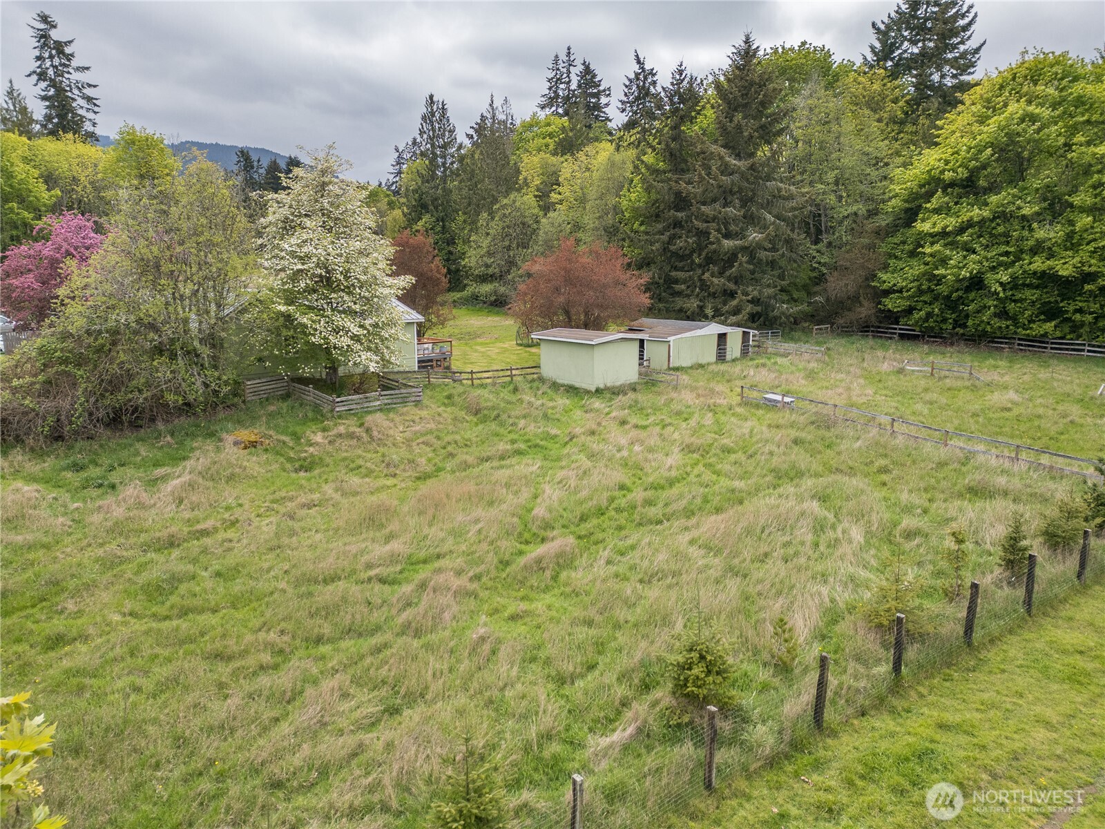 430 Black Diamond Road Port Angeles, WA 98363 - Photo 24 of 27