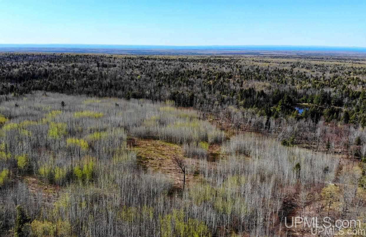 Tbd Off Ravine River Road Skanee, MI 49962 - Photo 6 of 20