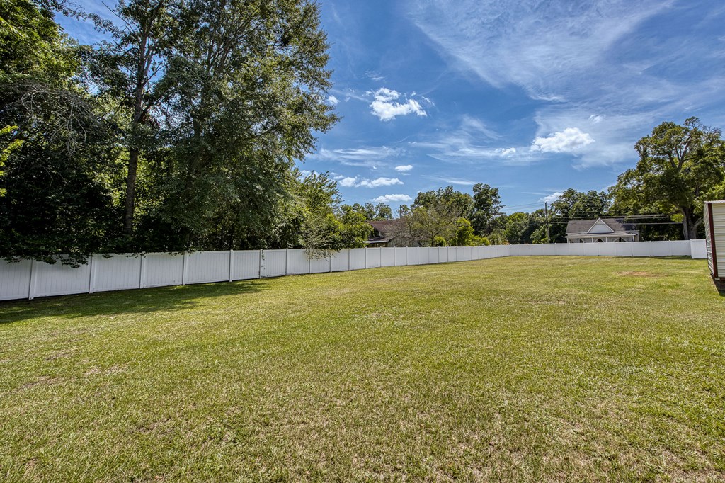 101 South Johnson Street Samson, AL 36477 - Photo 41 of 53