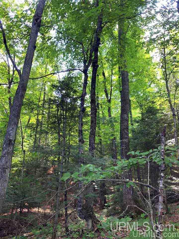 Tbd Deer Lake Road Ishpeming, MI 49849 - Photo 17 of 47