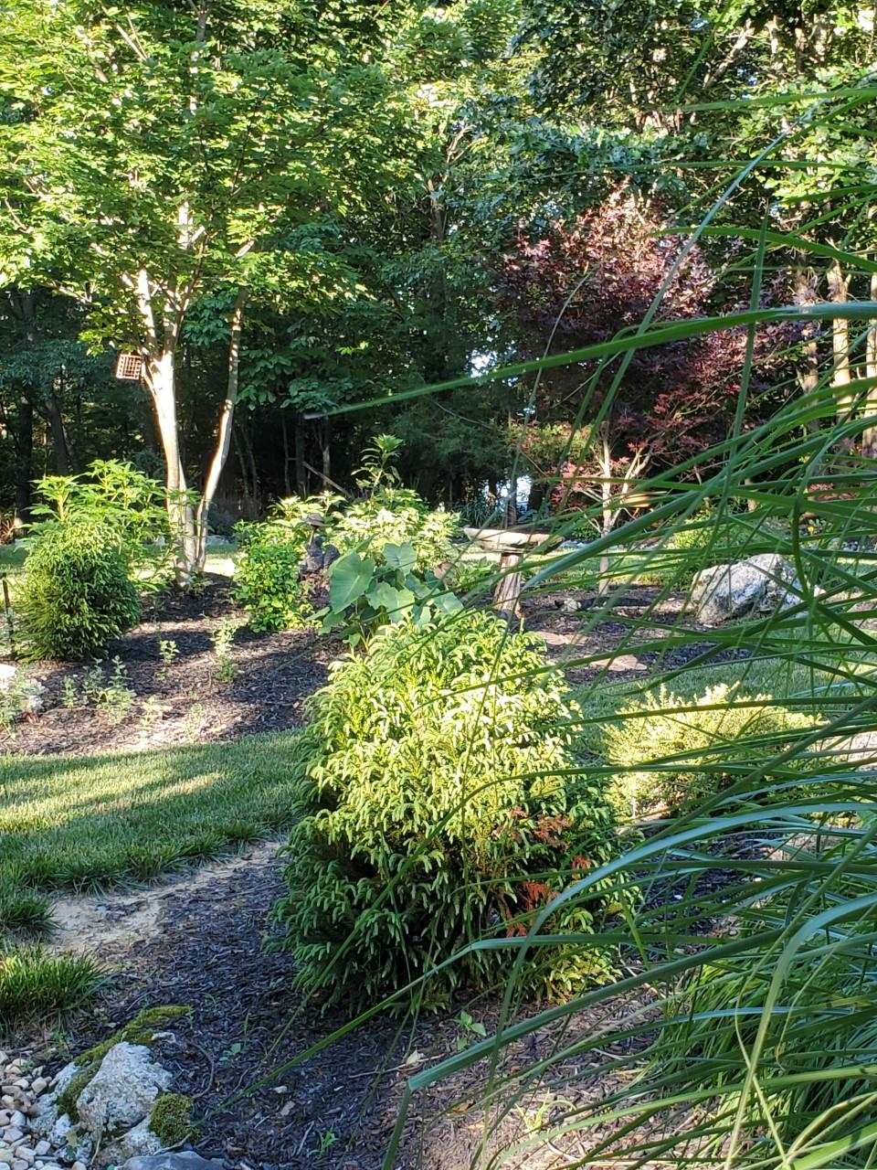 6565 Faughts Road Mount Crawford, VA 22841 - Photo 12 of 39 a backyard of a house with lots of green space