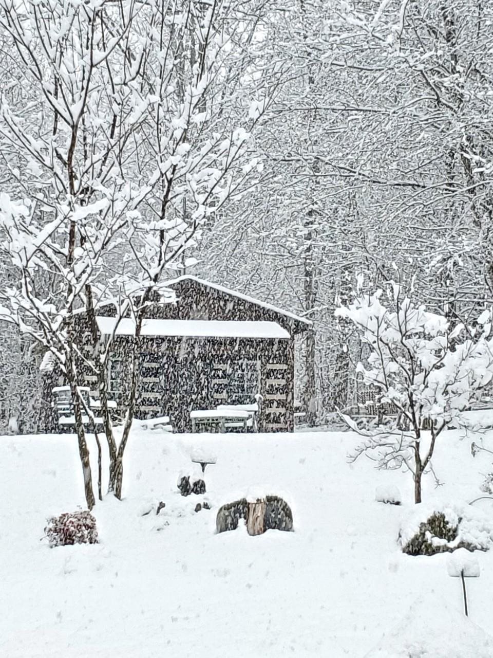 6565 Faughts Road Mount Crawford, VA 22841 - Photo 9 of 39 a view of a yard covered in snow
