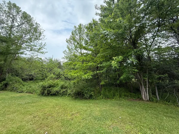 a view of a lush green space