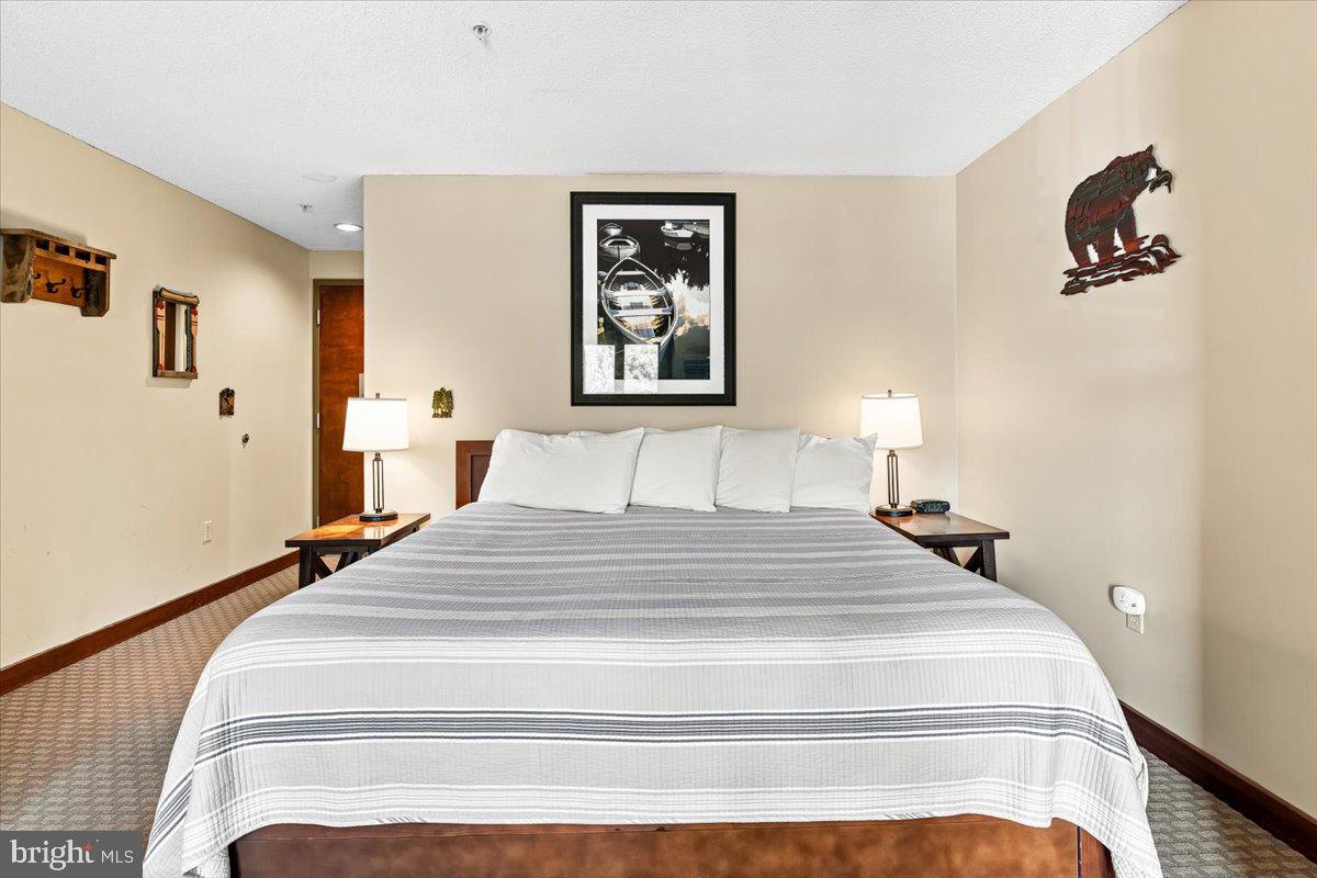 565 Glendale Road, Unit 213 Oakland, MD 21550 - Photo 14 of 24 Gallery Image 14