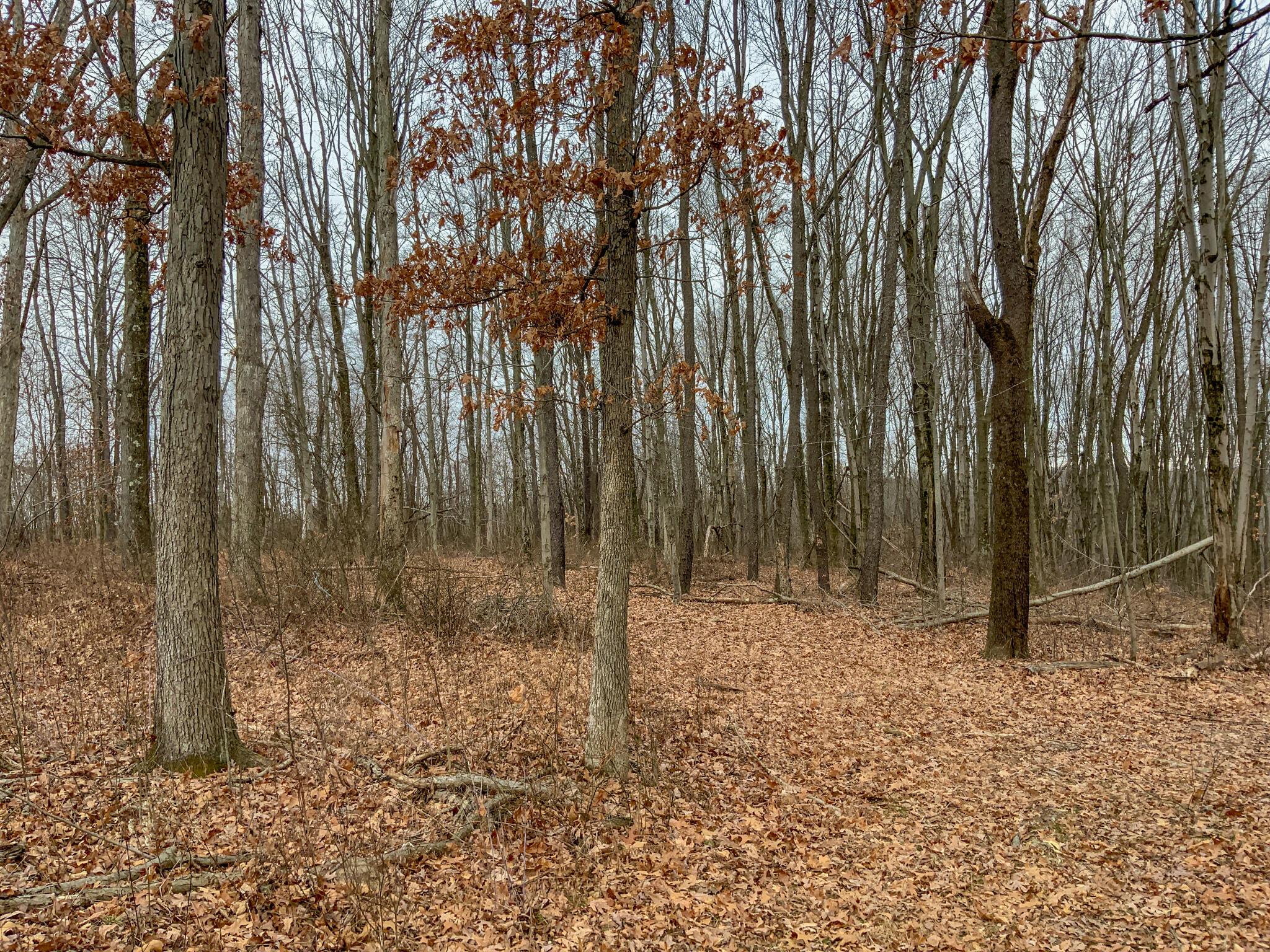 Cream Ridge Rd 40 Main Photo