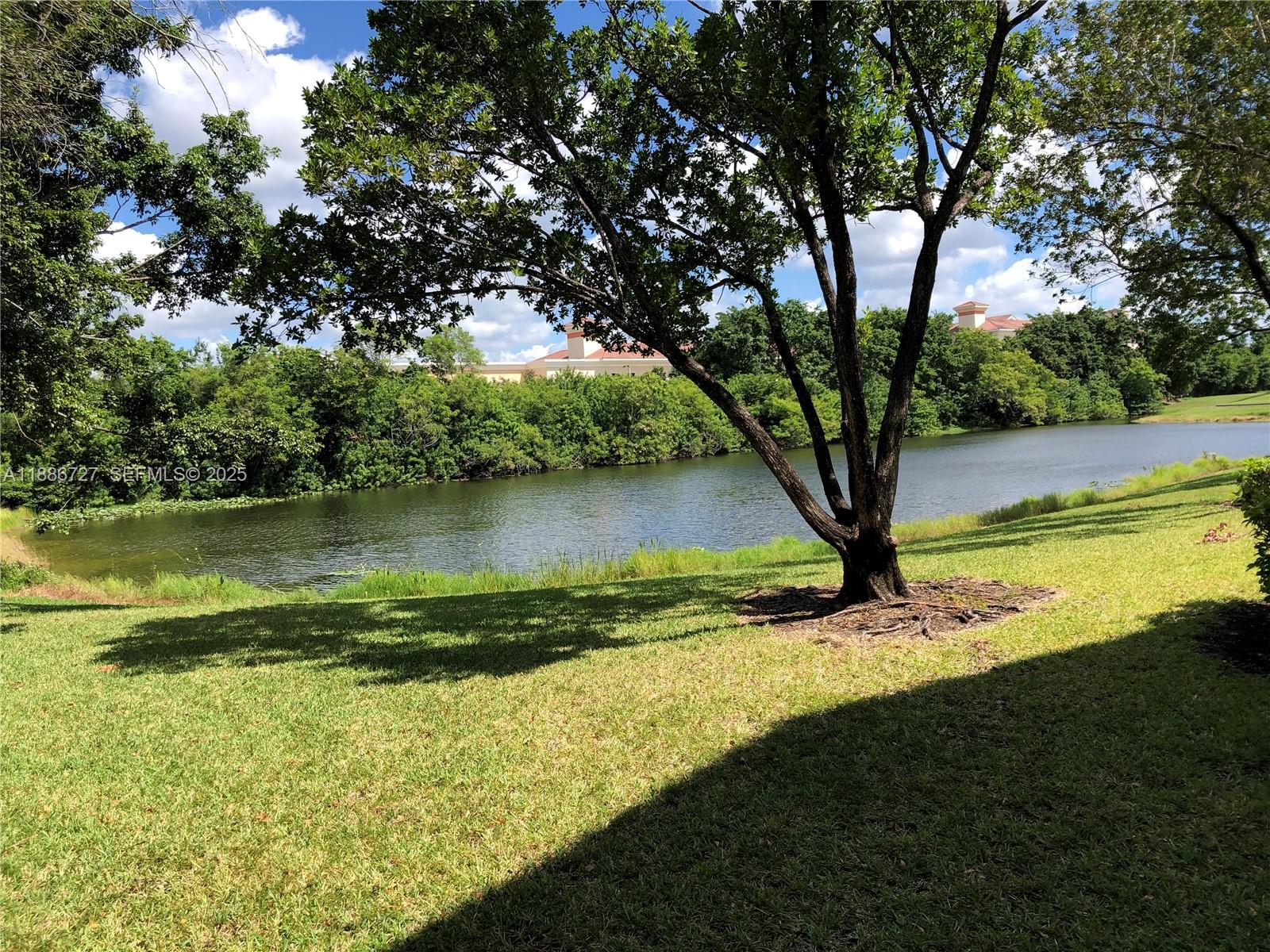 15875 Southwest 3rd Street, Unit 101 Pembroke Pines, FL 33027 - Photo 14 of 32 a view of a lake with a yard