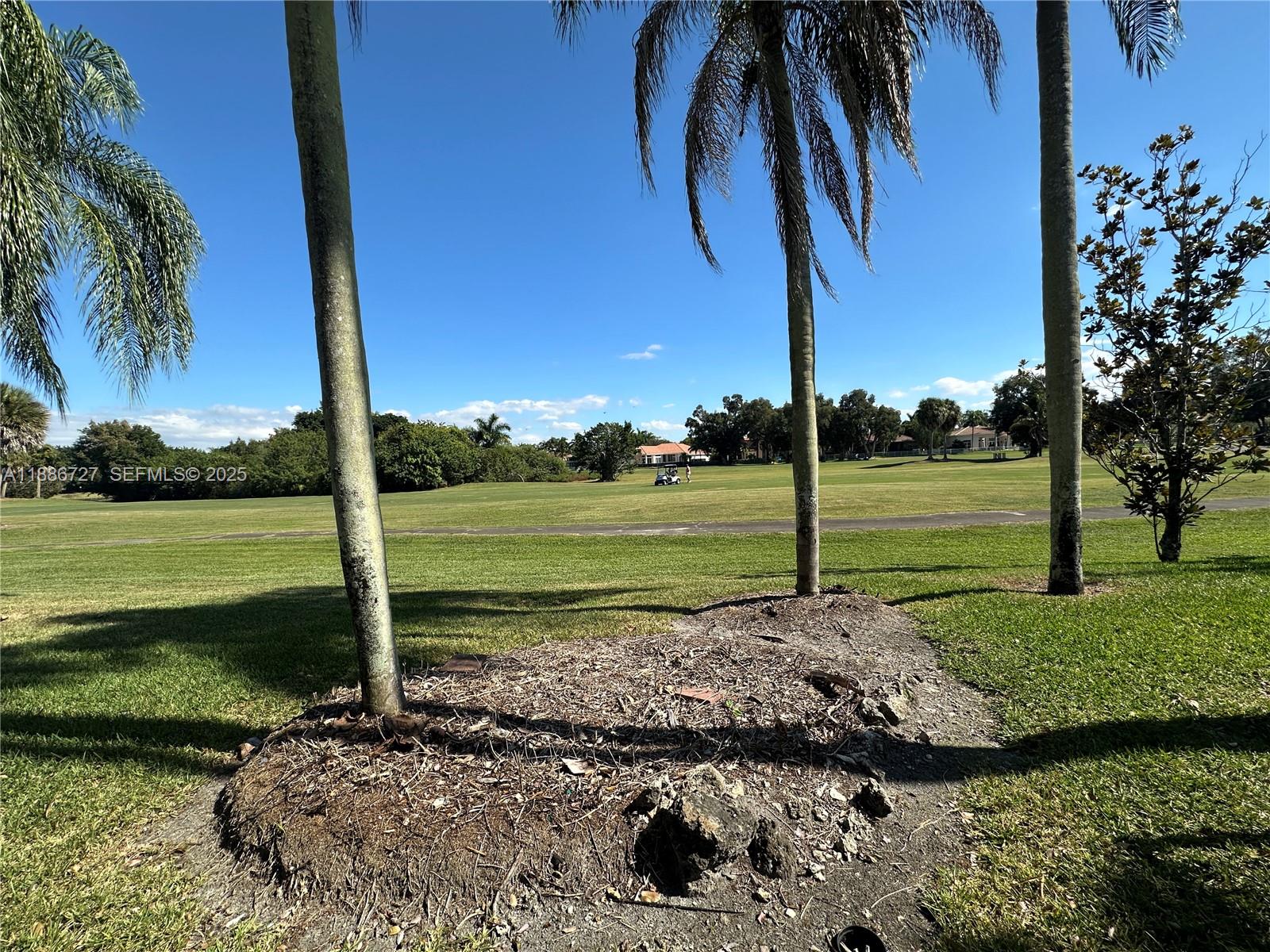 15875 Southwest 3rd Street, Unit 101 Pembroke Pines, FL 33027 - Photo 26 of 32 a view of a park with palm trees