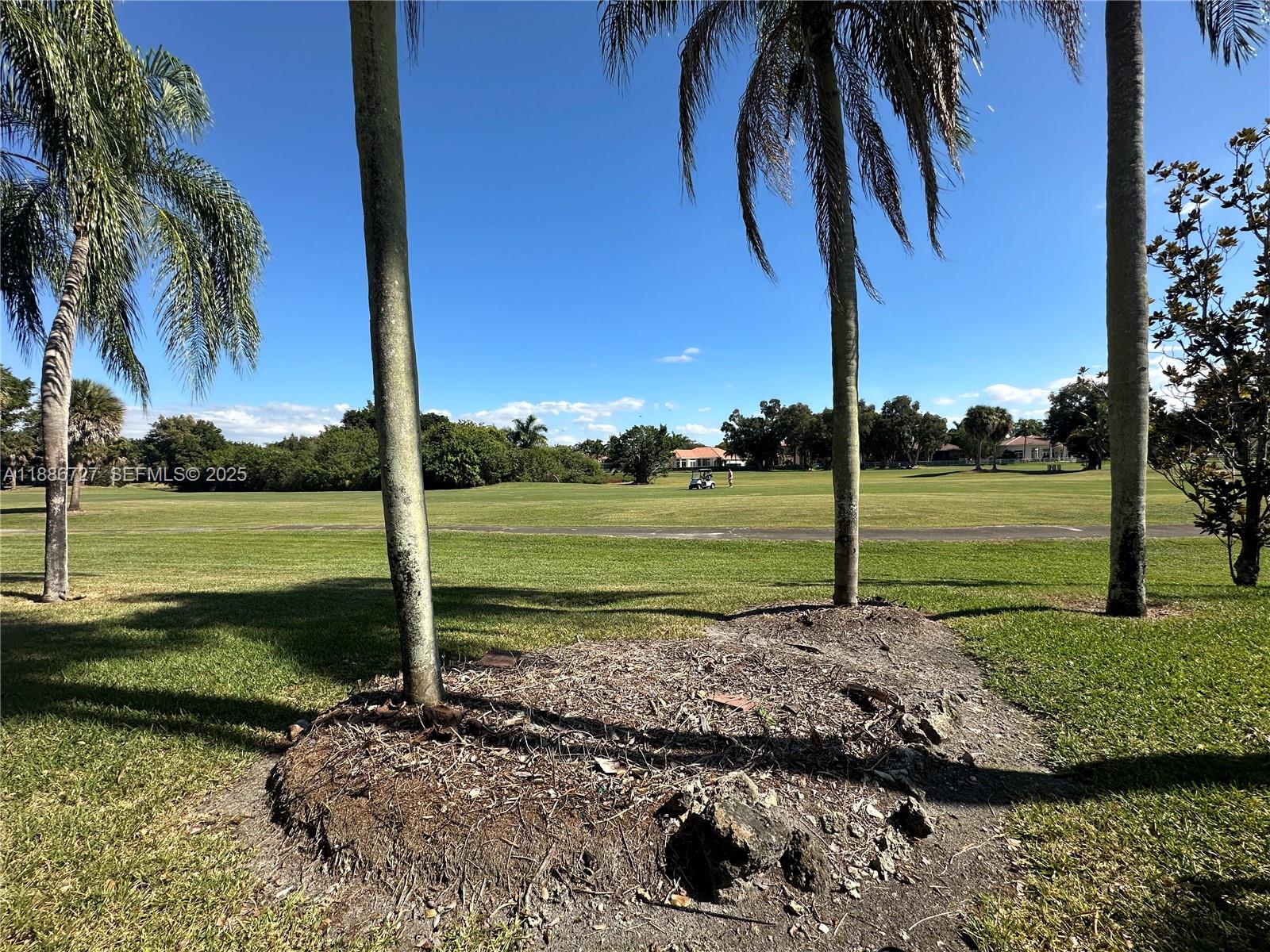 15875 Southwest 3rd Street, Unit 101 Pembroke Pines, FL 33027 - Photo 27 of 32 a view of a park with a palm tree