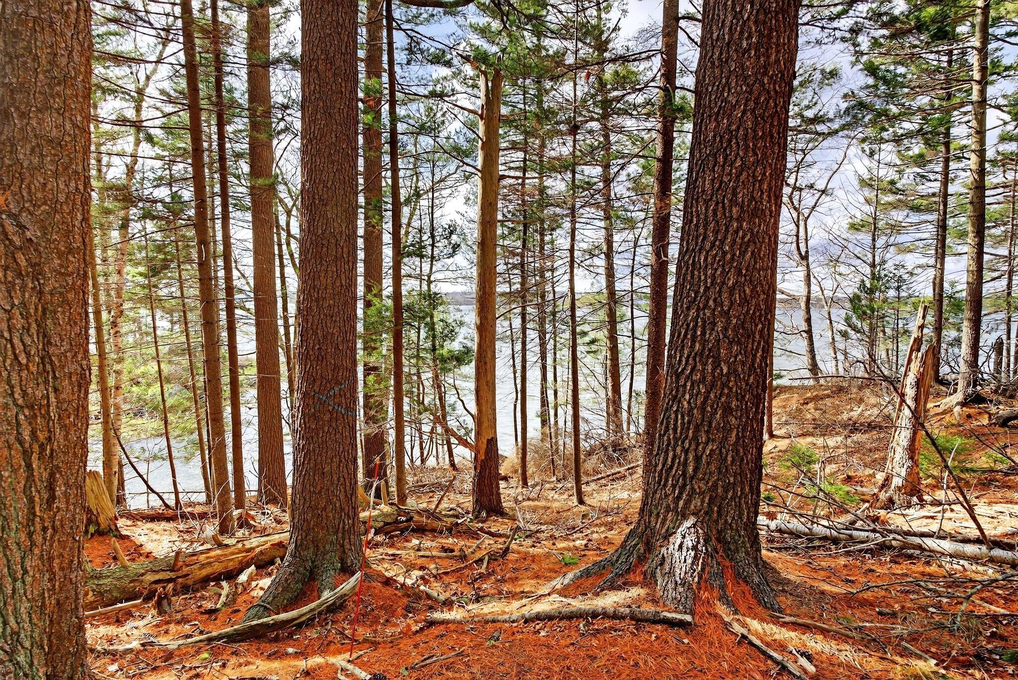 0 Madeleine Point Road Yarmouth, ME 04096 - Photo 12 of 13 Madeleine Point Rd