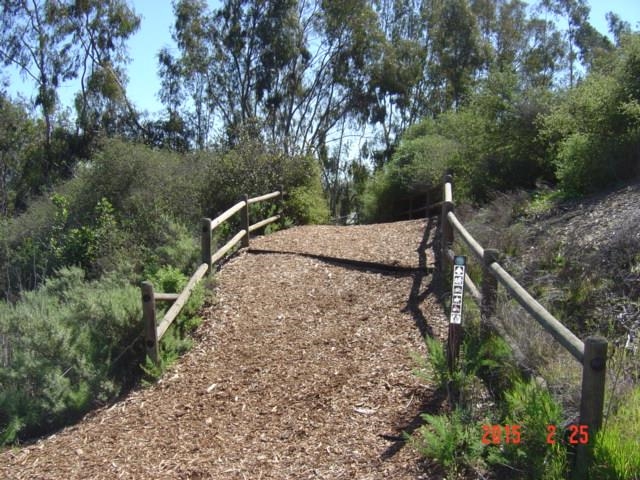 2907 Wishbone Way Encinitas, CA 92024 - Photo 7 of 7