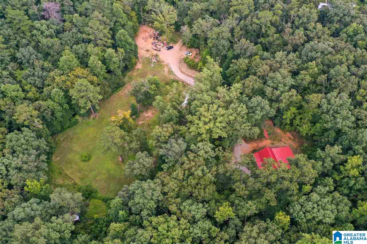 545 Scott Road Montevallo, AL 35115 - Photo 32 of 35