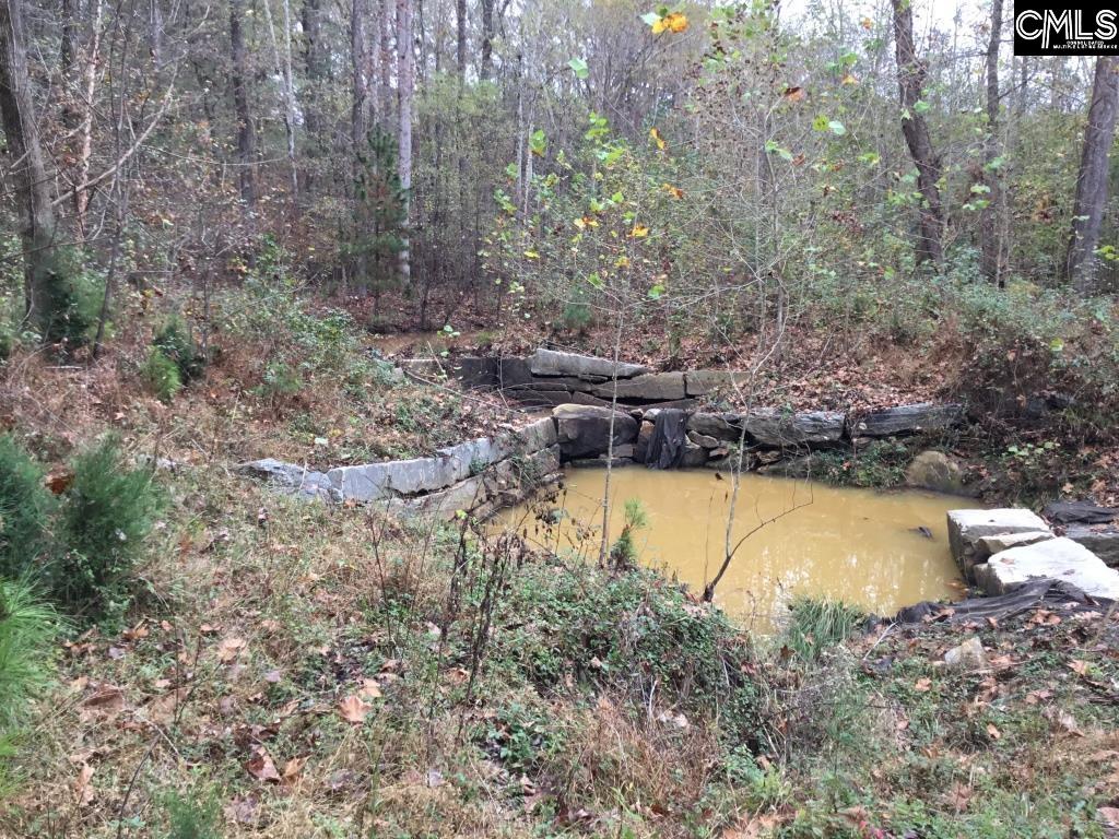 Old Cherokee Road Blair, SC 29015 - Photo 12 of 18