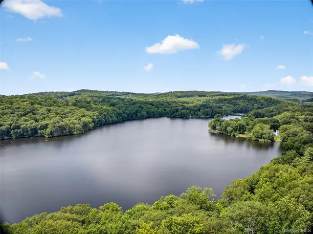 a view of a lake with a city