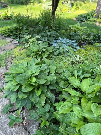 $325,000 | 1402 Maple Street, Chillicothe, MO 64601