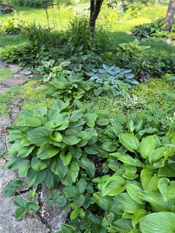 1402 Maple Street Chillicothe, MO 64601 - Photo 9 of 41