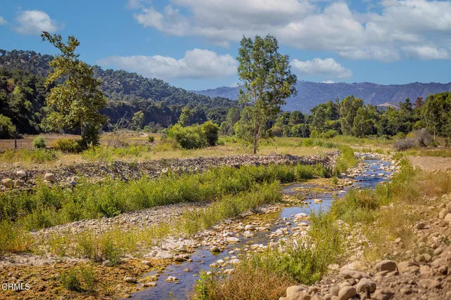 a view of a yard with a lake view