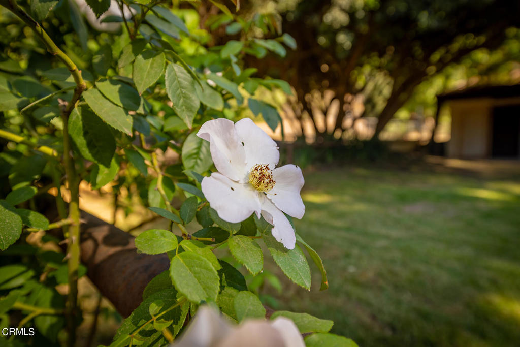 10484 Creek Road Oak View, CA 93022 - Photo 40 of 52 a bathroom with a sink and mirror